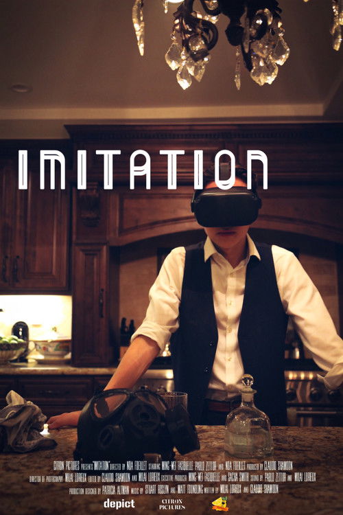 Imitation постер
