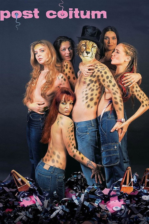 Post Coitum постер