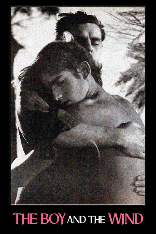 O Menino e o Vento постер