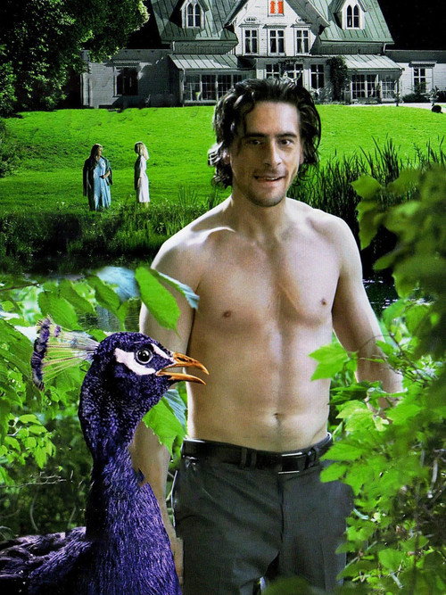 Allt om min buske постер