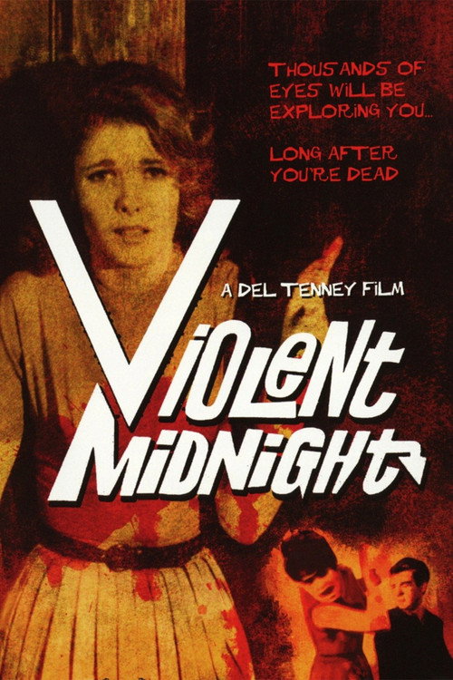 Violent Midnight постер