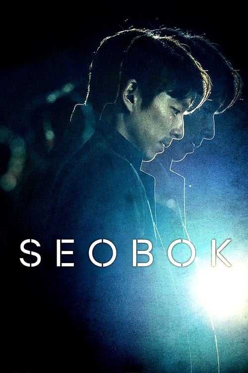 Seobok постер