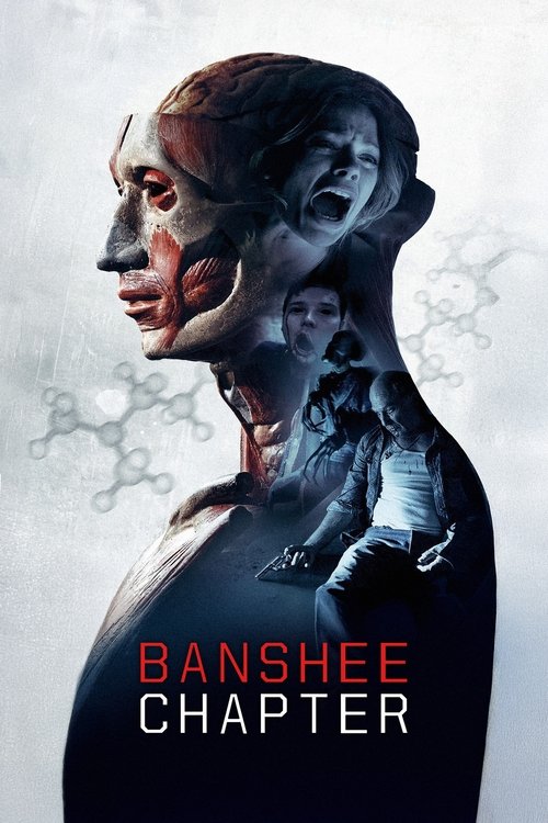 Banshee Chapter постер