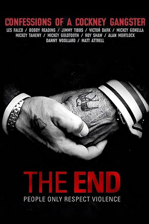 The End постер