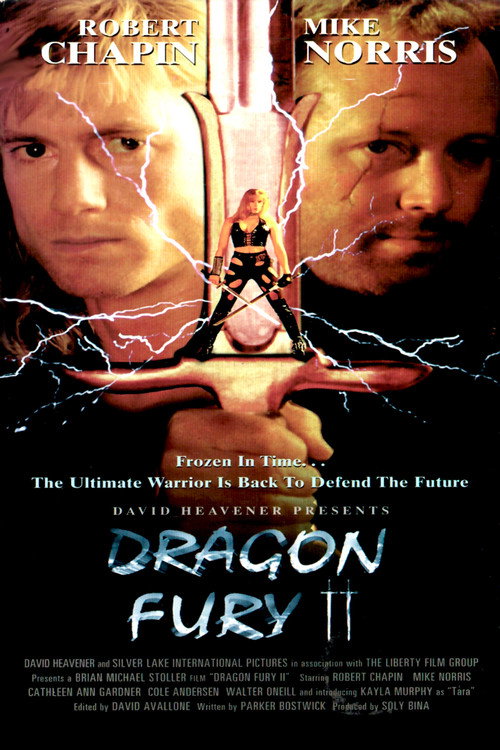 Dragon Fury II постер