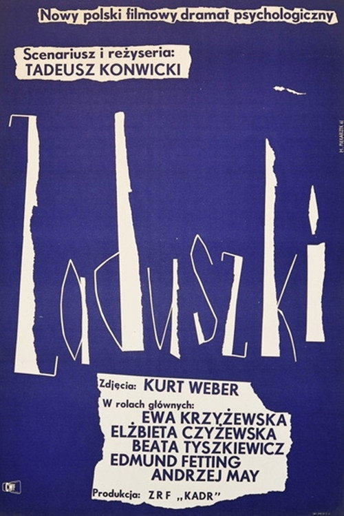 Zaduszki постер