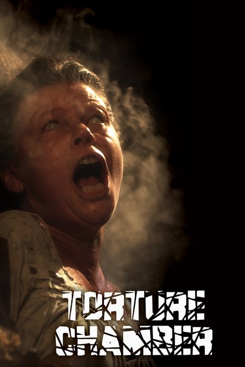 Камера пыток постер