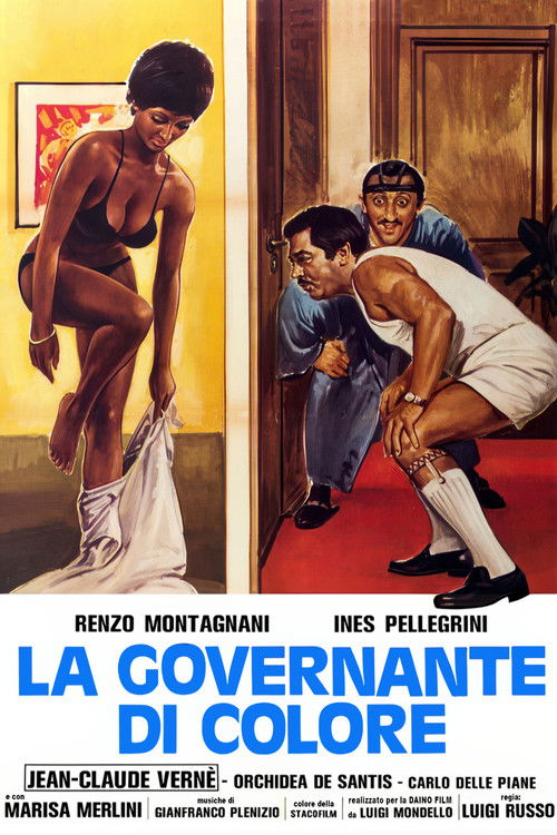 Una bella governante di colore постер