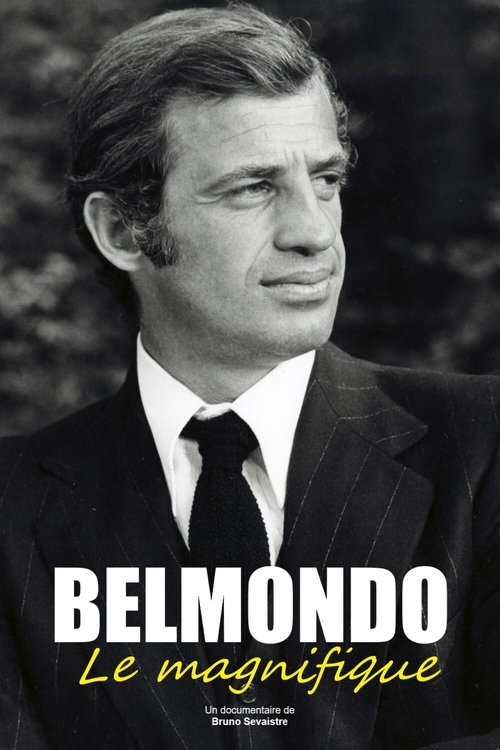 Belmondo, le magnifique постер