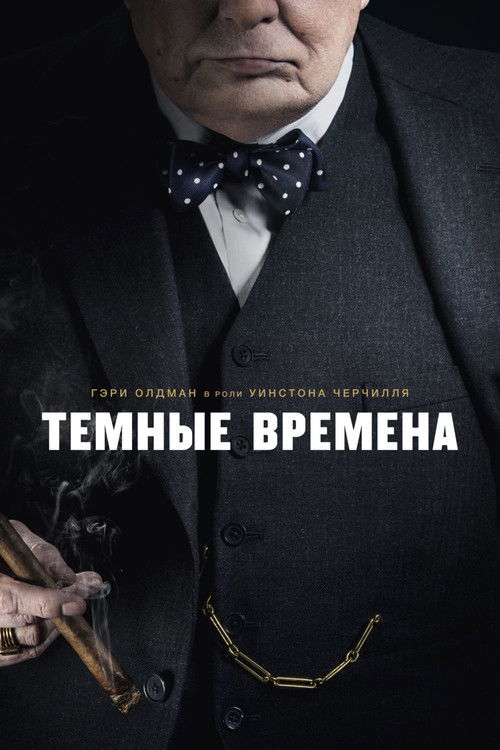 Темные времена постер