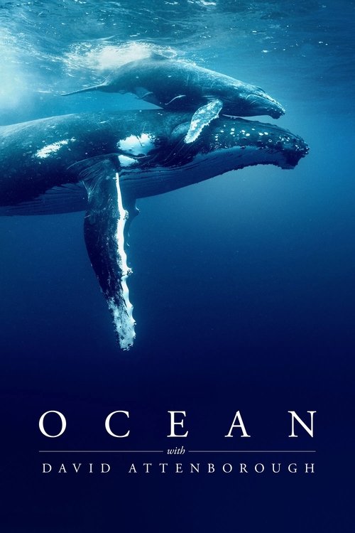 Ocean with David Attenborough постер