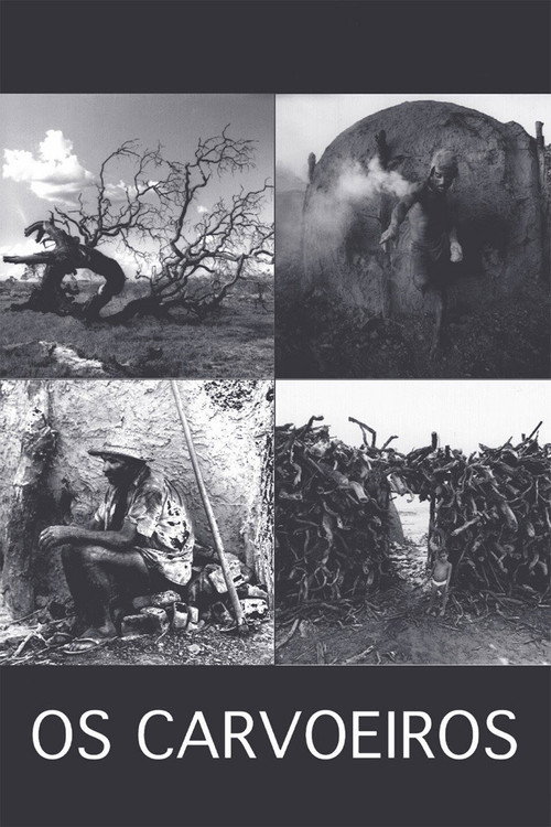 Os Carvoeiros постер