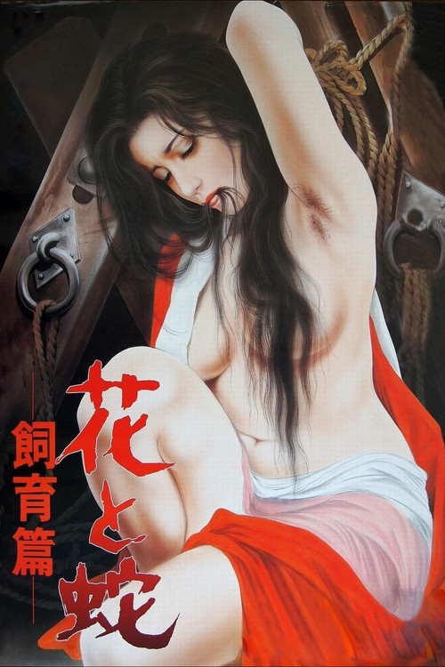 Flower and Snake 3: Punishment постер