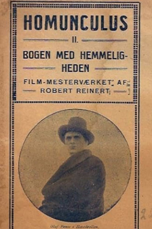 The Mysterious Book постер