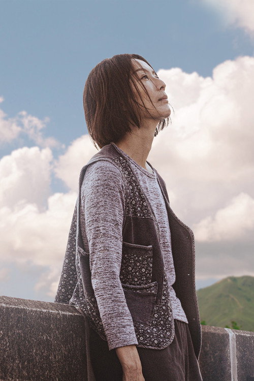 流水落花 постер