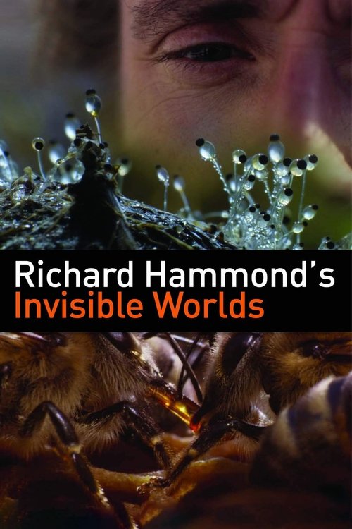 Richard Hammond's Invisible Worlds постер