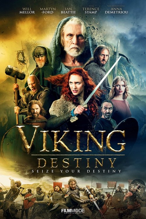 Viking Destiny постер