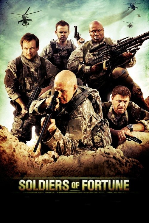 Soldiers of Fortune постер