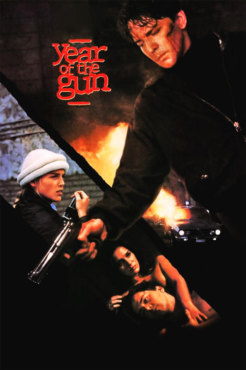 Year of the Gun постер