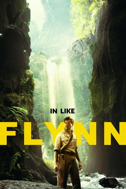 In Like Flynn постер
