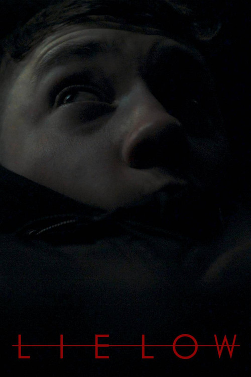 Lie Low постер