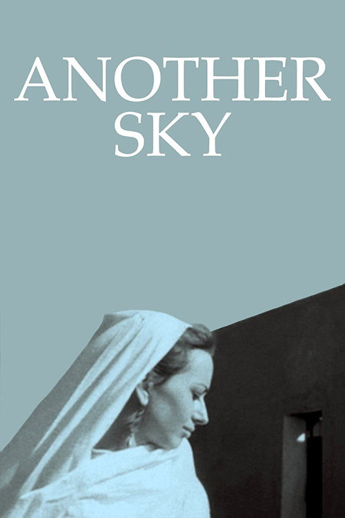 Another Sky постер
