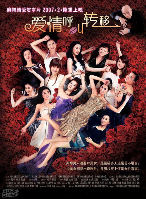 爱情呼叫转移 постер
