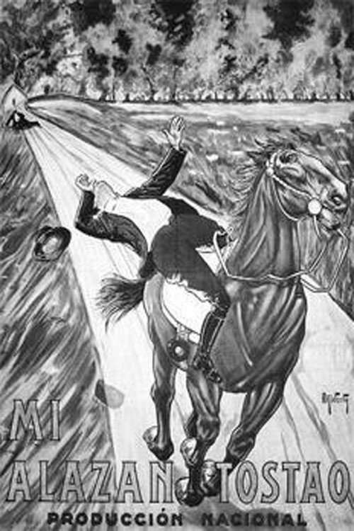 Mi alazán tostao постер