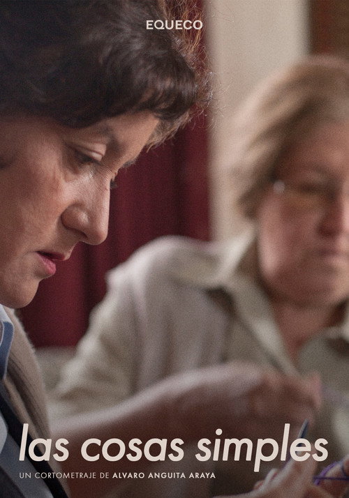 Las cosas simples постер