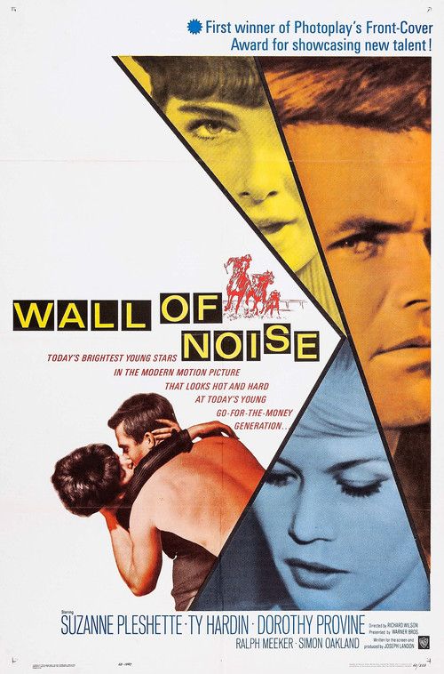 Wall of Noise постер