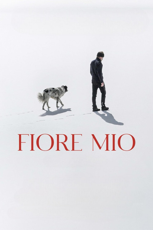 Fiore mio постер