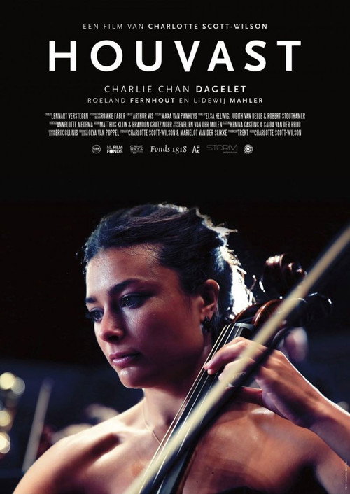 Houvast постер