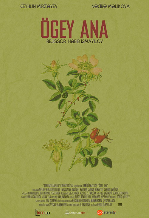 Stepmother постер