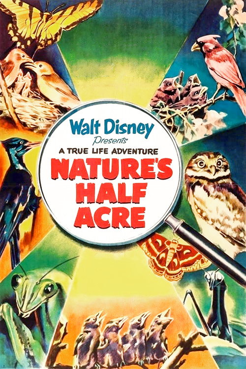 Nature's Half Acre постер