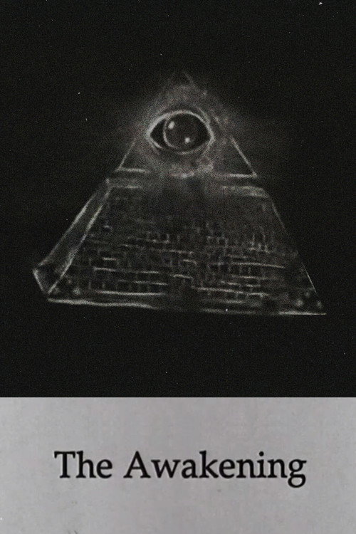 The Awakening постер