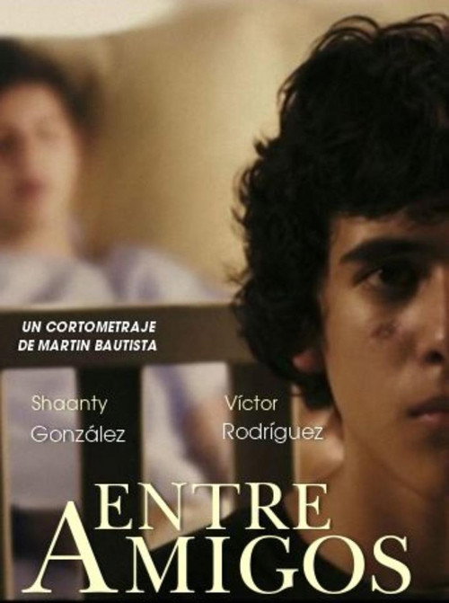 Entre amigos постер