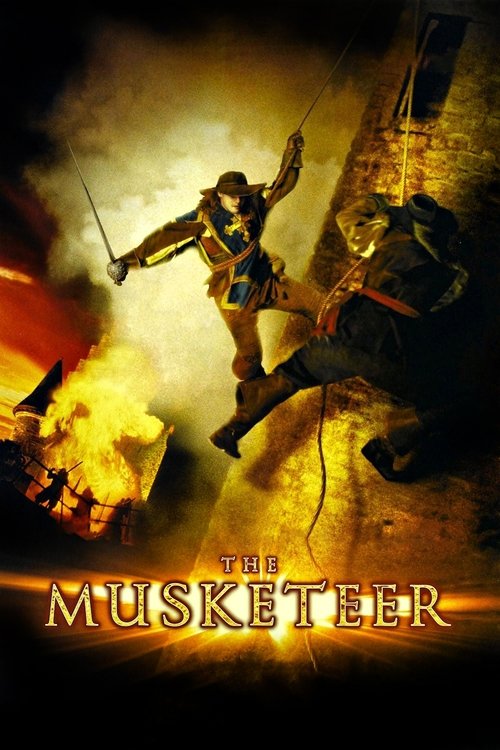 The Musketeer постер