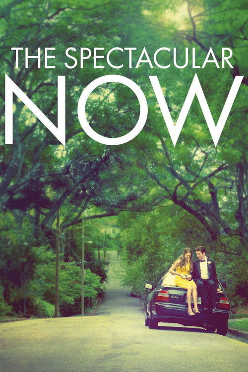 The Spectacular Now постер