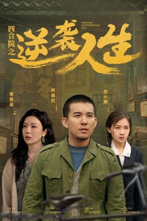 四合院之逆袭人生 постер