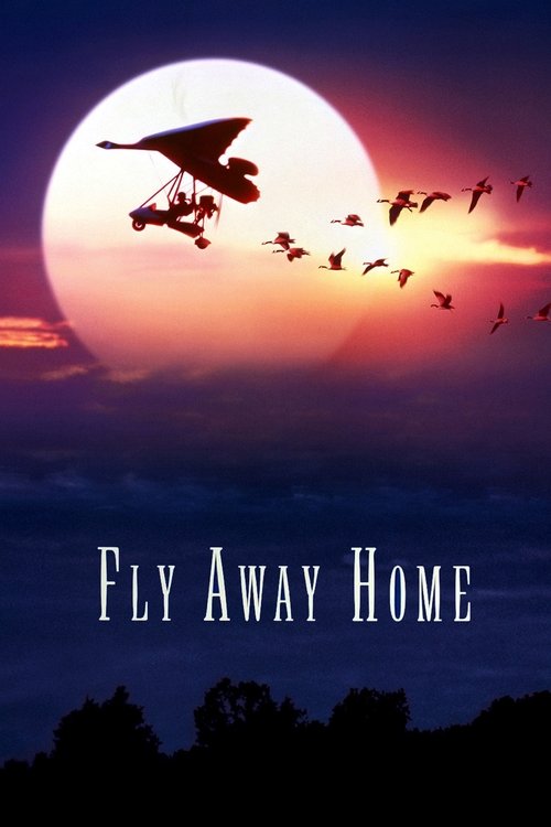 Fly Away Home постер