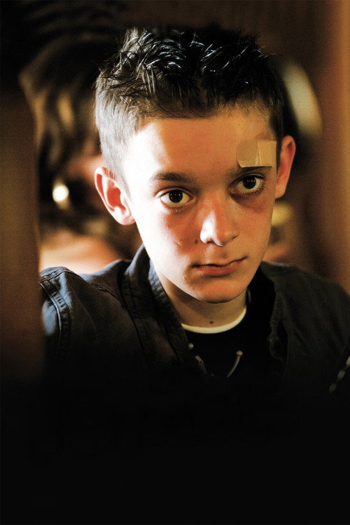 Свинки постер