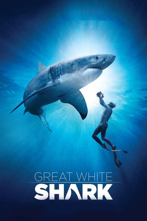 Great White Shark постер