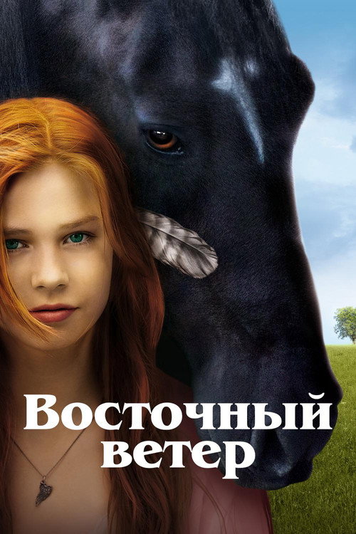 Восточный ветер постер