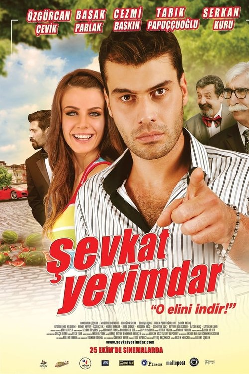 Şevkat Yerimdar постер