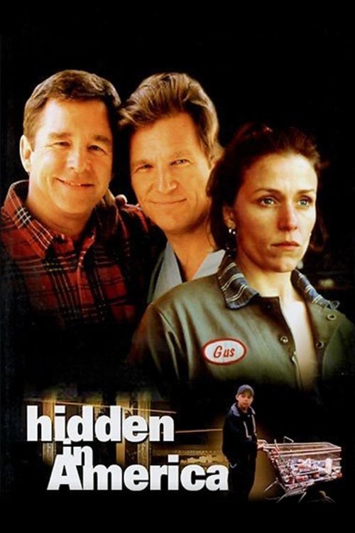Hidden in America постер