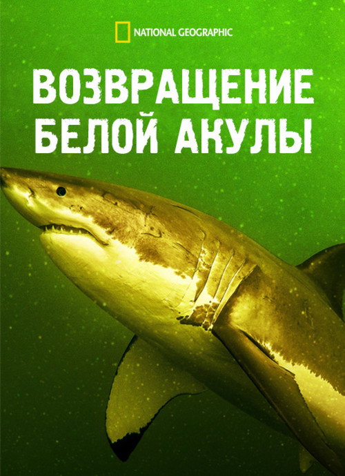 Возвращение белой акулы постер