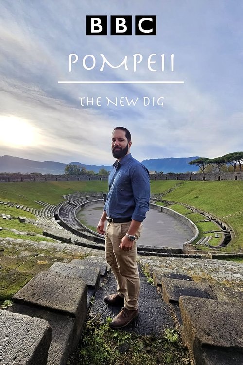 Pompeii: The New Dig постер