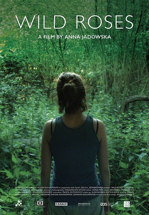 Dzikie róże постер