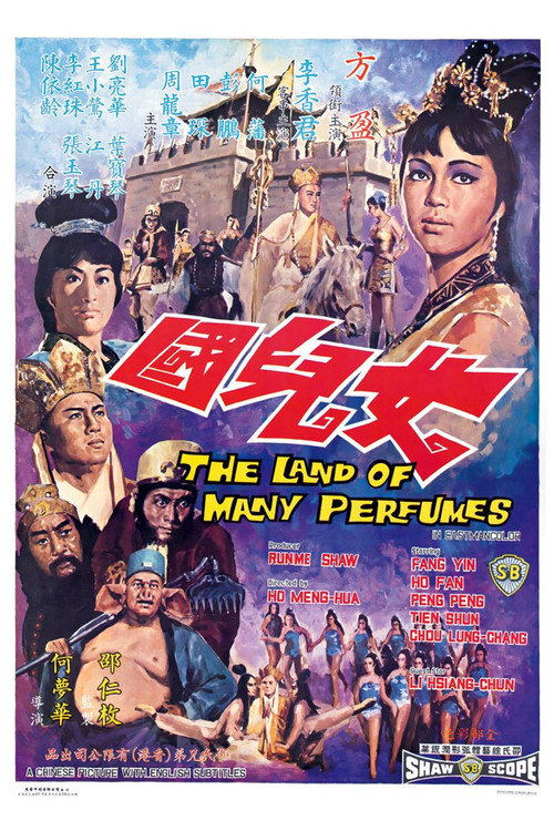 女兒國 постер