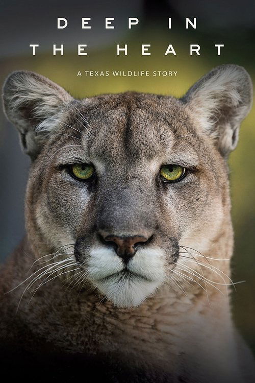 Deep in the Heart: A Texas Wildlife Story постер